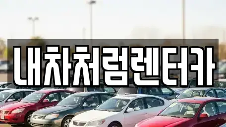 대구광역시 수성구 범어동 렌트카 전문 내차처럼렌터카