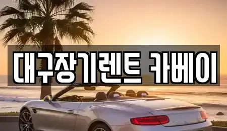 대구광역시 수성구 범어동 장기렌트카 전문 대구장기렌트 카베이