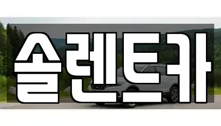 대구광역시 수성구 범어동 장기렌트카 전문 솔렌트카