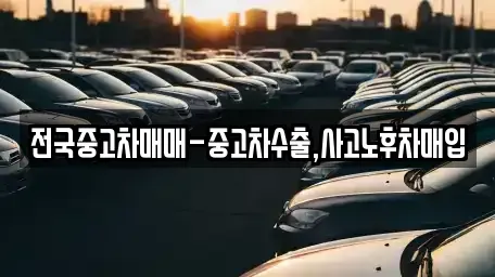 대구광역시 수성구 범어동 중고차매매 전문 전국중고차매매-중고차수출,사고노후차매입
