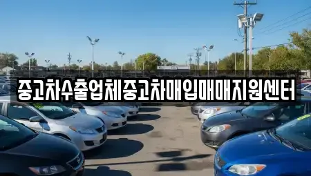 대구광역시 수성구 범어동 중고차매매 전문 중고차수출업체중고차매입매매지원센터