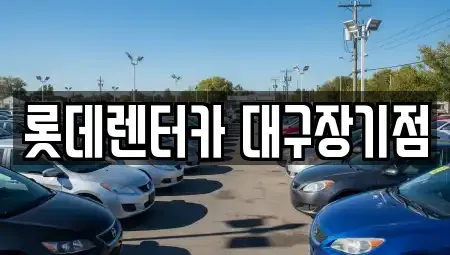 대구광역시 장기렌트카 전문 롯데렌터카 대구장기점