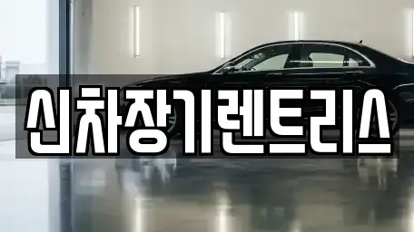 대구광역시 장기렌트카 전문 신차장기렌트리스