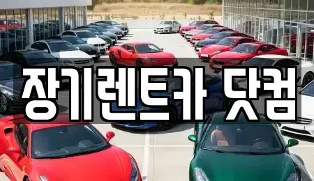 대구광역시 장기렌트카,중고차,렌트카,단기렌트카,중고차매입,중고차매매