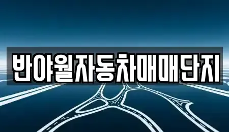 대구광역시 중고차 전문 반야월자동차매매단지