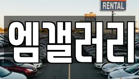 대구광역시 중고차 전문 엠갤러리