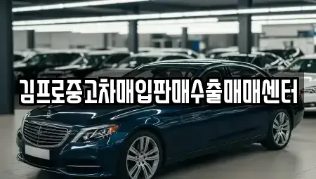대구광역시 중고차매입 전문 김프로중고차매입판매수출매매센터