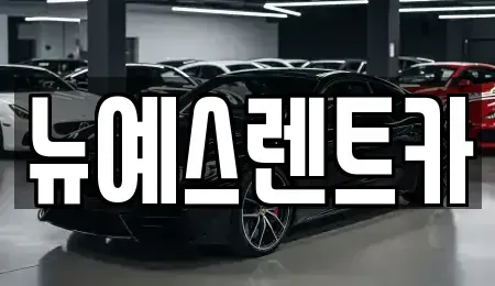 대구광역시 중구 서야동 렌트카 전문 뉴예스렌트카