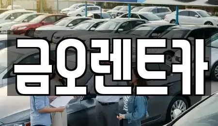대구광역시 중구 서야동 장기렌트카 전문 금오렌트카