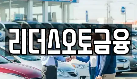 대구광역시 중구 서야동 장기렌트카 전문 리더스오토금융