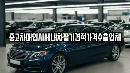 대구광역시 중구 서야동 중고차 전문 중고차매입시세내차팔기견적가격수출업체