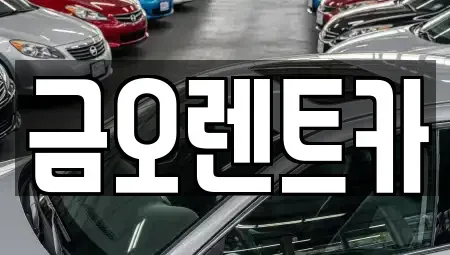 대구광역시 중구 태평로1가 단기렌트카 전문 금오렌트카