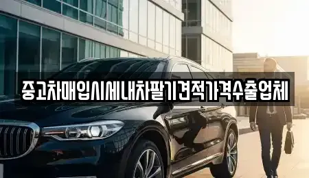 대구광역시 중구 태평로1가 중고차매매,단기렌트카,중고차매입,장기렌트카,중고차,렌트카