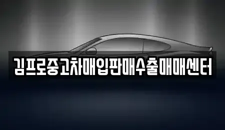 대구광역시 중구 태평로1가 중고차매입 전문 김프로중고차매입판매수출매매센터