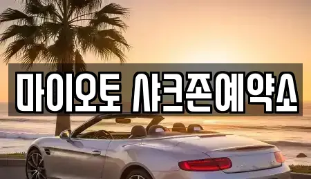 대전 대덕구 단기렌트카 전문 마이오토 샤크존예약소