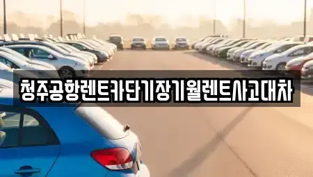 대전 대덕구 단기렌트카 전문 청주공항렌트카단기장기월렌트사고대차