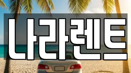대전 대덕구 렌트카 전문 나라렌트