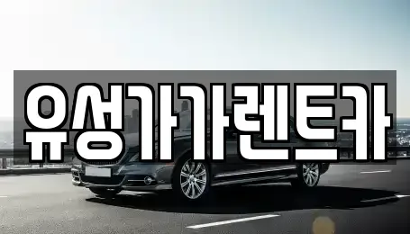 대전 유성구 장동 렌트카 전문 유성가가렌트카