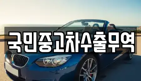 대전 유성구 장동 중고차매매 전문 국민중고차수출무역