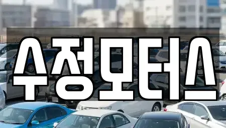 대전 유성구 장동 중고차매매 전문 수정모터스