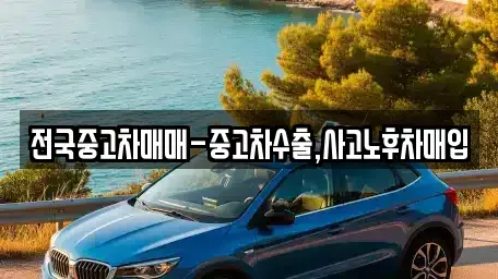 대전 유성구 장동 중고차매입 전문 전국중고차매매-중고차수출,사고노후차매입