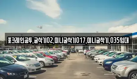 대전 유성구 장동 중고차매입 전문 포크레인공투,굴삭기02,미니굴삭기017,미니굴착기,035임대