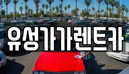 대전 유성구 추목동 렌트카 전문 유성가가렌트카