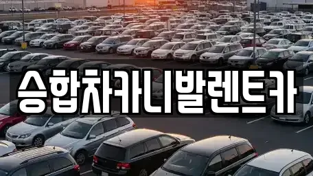 대전 중구 문창동 렌트카 전문 승합차카니발렌트카