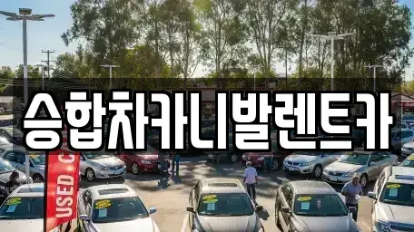 대전 중구 은행동 렌트카 전문 승합차카니발렌트카