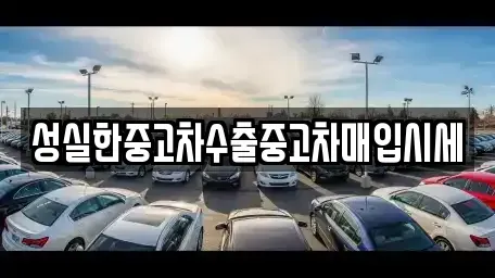 대전 중구 은행동 중고차 전문 성실한중고차수출중고차매입시세