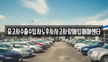대전 중구 은행동 중고차매입 전문 중고차수출수입차노후차사고차량매입매매센타