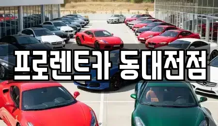 대전광역시 대덕구 렌트카 전문 프로렌트카 동대전점