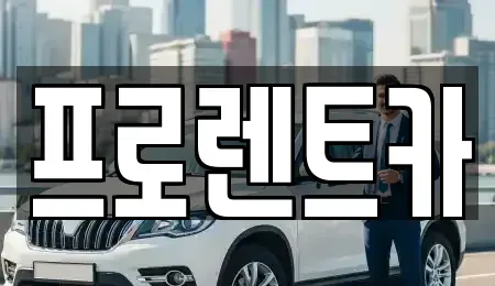 대전광역시 대덕구 렌트카 전문 프로렌트카