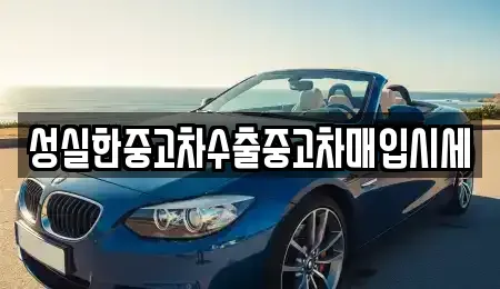 대전광역시 대덕구 중고차매입 전문 성실한중고차수출중고차매입시세