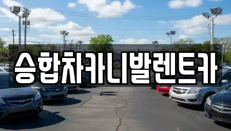 대전광역시 동구 천동 렌트카 전문 승합차카니발렌트카
