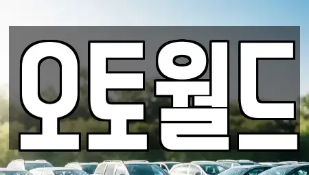 대전광역시 동구 천동 중고차 전문 오토월드