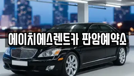 대전광역시 동구 판암동 렌트카 전문 에이치에스렌트카 판암예약소