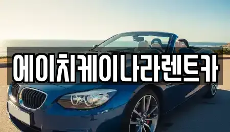 대전광역시 유성구 구룡동 렌트카 전문 에이치케이나라렌트카