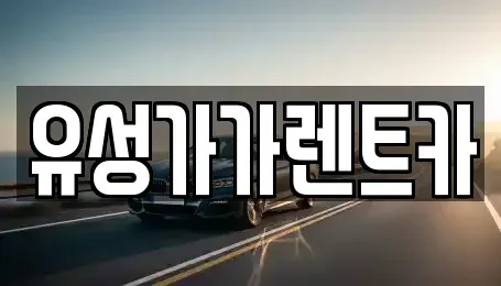 대전광역시 유성구 구룡동 렌트카 전문 유성가가렌트카