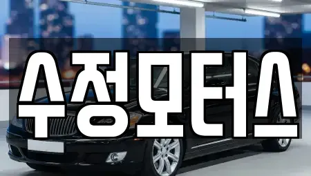 대전광역시 유성구 구룡동 중고차 전문 수정모터스