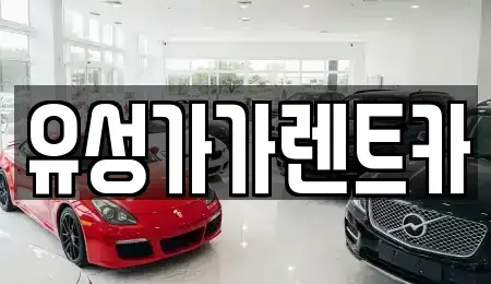 대전광역시 유성구 화암동 렌트카 전문 유성가가렌트카