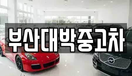 부산 기장군 장안읍 중고차 전문 부산대박중고차