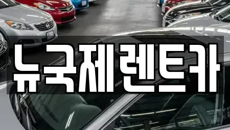 부산 동래구 칠산동 단기렌트카 전문 뉴국제렌트카