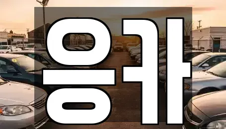 부산 동래구 칠산동 장기렌트카 전문 응카