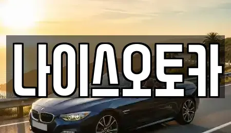 부산 부산진구 범전동 장기렌트카 전문 나이스오토카