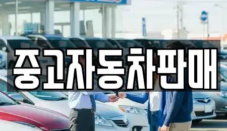 부산 부산진구 범전동 중고차매매 전문 중고자동차판매