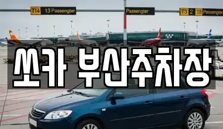 부산 북구 덕천동 렌트카 전문 쏘카 부산주차장