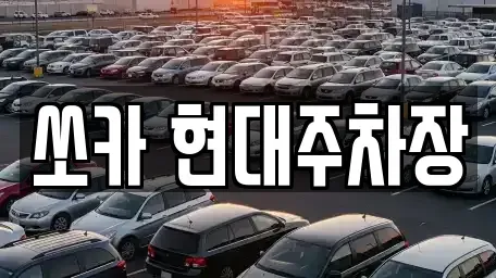 부산 북구 덕천동 렌트카 전문 쏘카 현대주차장