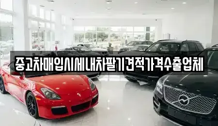 부산 북구 덕천동 중고차매입 전문 중고차매입시세내차팔기견적가격수출업체
