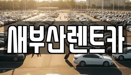 부산 서구 부민동1가 렌트카 전문 새부산렌트카